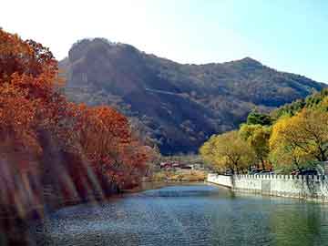 管家婆黑白马报图库，藤县手工